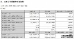 完美世界上半年营收39亿元 归母净利润11.37亿元